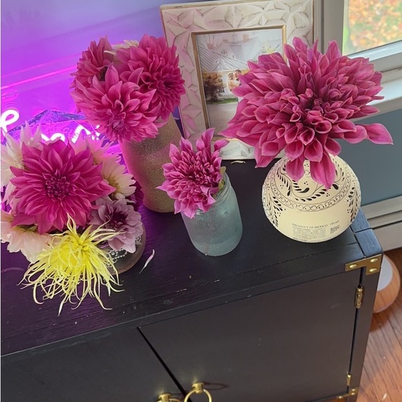 Meet your Posher, Cassandra - Picture 11 of 13